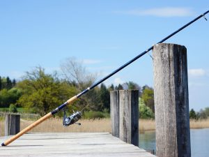 Destination pêche à Provins et sa région
