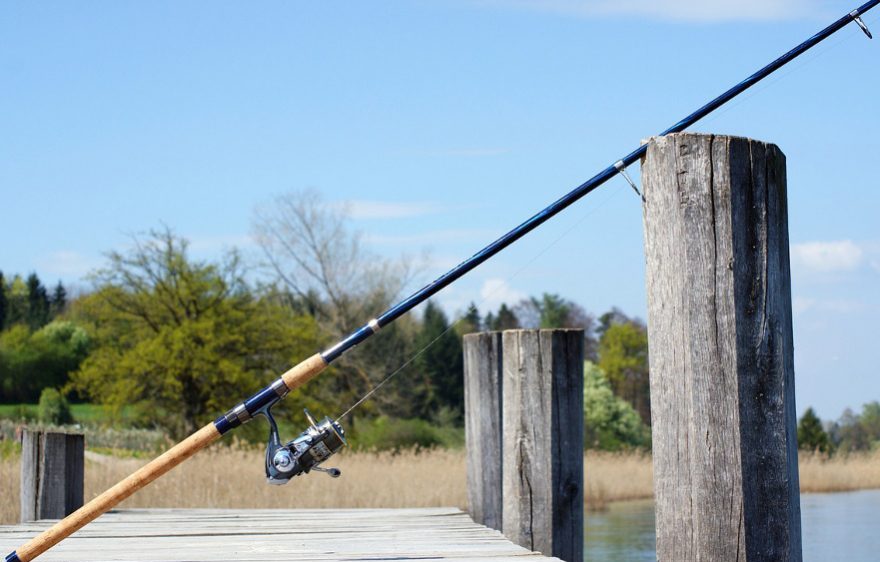 Fishing destination in Provins region