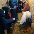 Educational Farm of La Mercy, in Chenoise-Cucharmoy, close to Provins