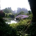 The Gardens of Viels-Maisons, close to Provins