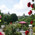 The Provins Rose Garden