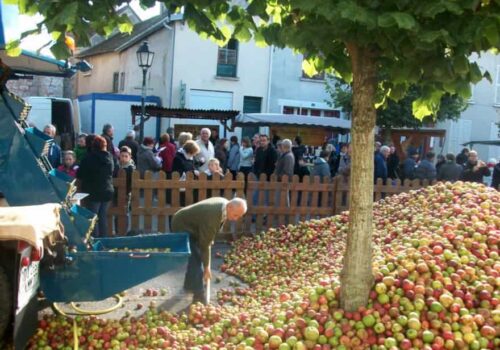 Fête du Cidre, à Beton-Bazoches, proche de Provins