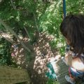 Jumping Forest park, Tree Climbing, Laser-Game and Archery Battle, in the forest of Chenoise, close to Provins