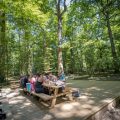 Jumping Forest, parc d'accrobranche, archery battle et laser game, à Chenoise proche de Provins