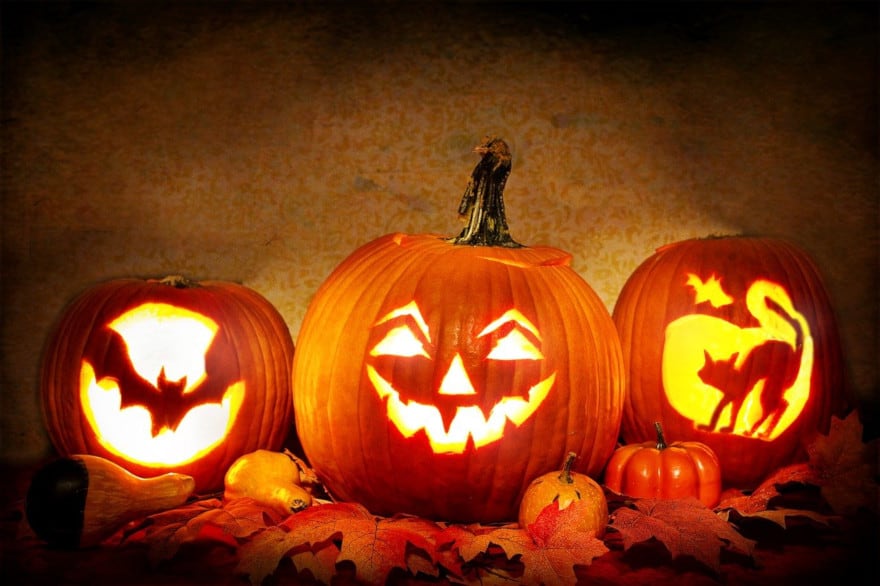 Animations Halloween à Provins et dans sa région