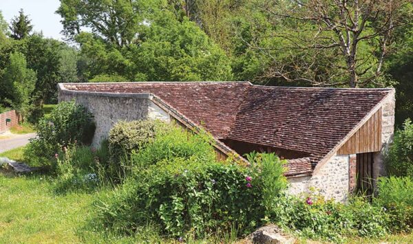 Le bois de Sigy, randonnée pédestre dans le Bassée-Montois, région de Provins