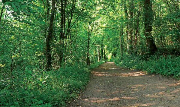 Chemin des Gailles, hiking in the Valleys of the 2 Morin, Provins region