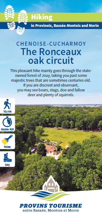 The Ronceaux oak circuit, hiking in the Provinois, Provins region