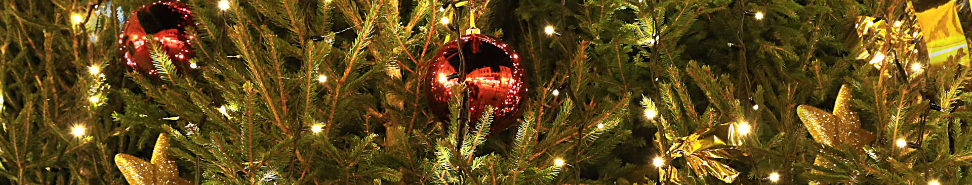 Festivités de Noël à Provins, dans le Provinois, Bassée-Montois et les Vallées des 2 Morin