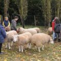 Educational Farm of Saint-Hilliers AEDF, Hameau de Savigny close to Provins