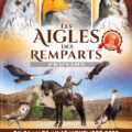 Les Aigles des Remparts, spectacle médiéval à Provins