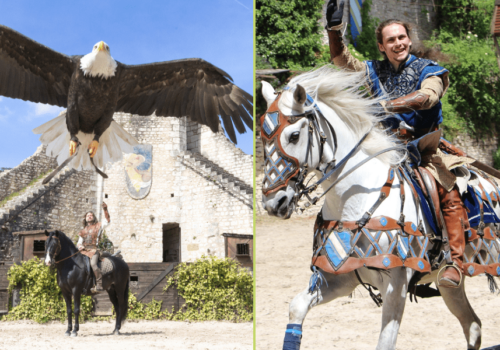 Spectacles historiques de Provins