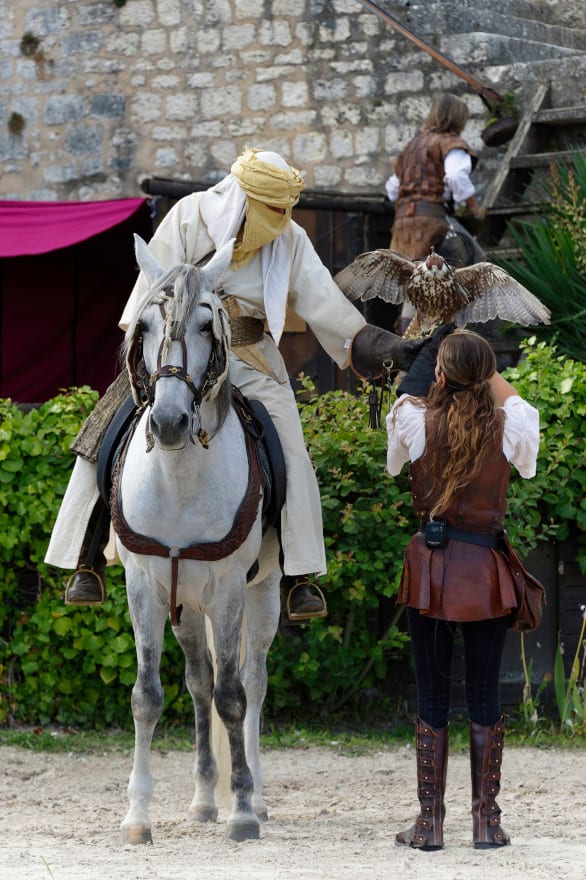Aigle de Bonelli : le prince des garrigues