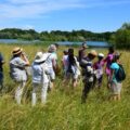 Natural outings in the National Nature Reserve of La Bassée, close to Provins