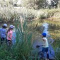 Natural outings in the National Nature Reserve of La Bassée, close to Provins