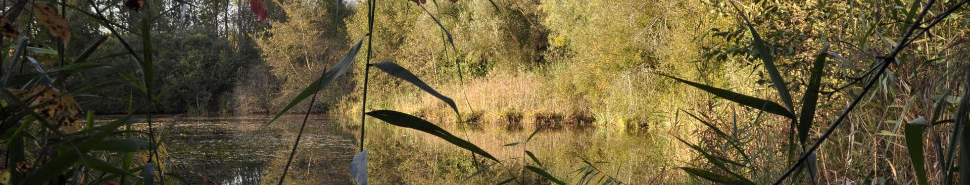 Loisirs, balades nature et plein air à Provins, dans le Provinois et Bassée-Montois