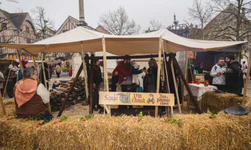 MED06672-WEB - 150px MED06672-WEB - 150px