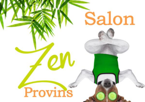 salon zen