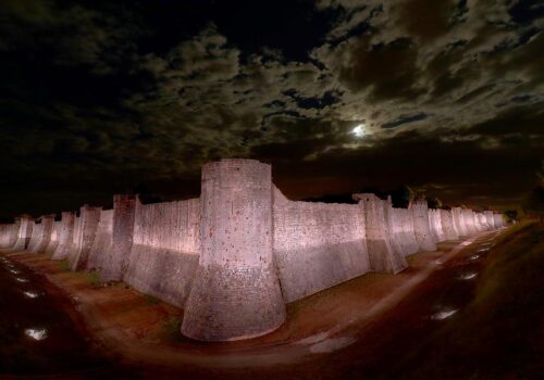 entre chiens et loups