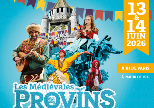 PROVINS-Pave 600x500